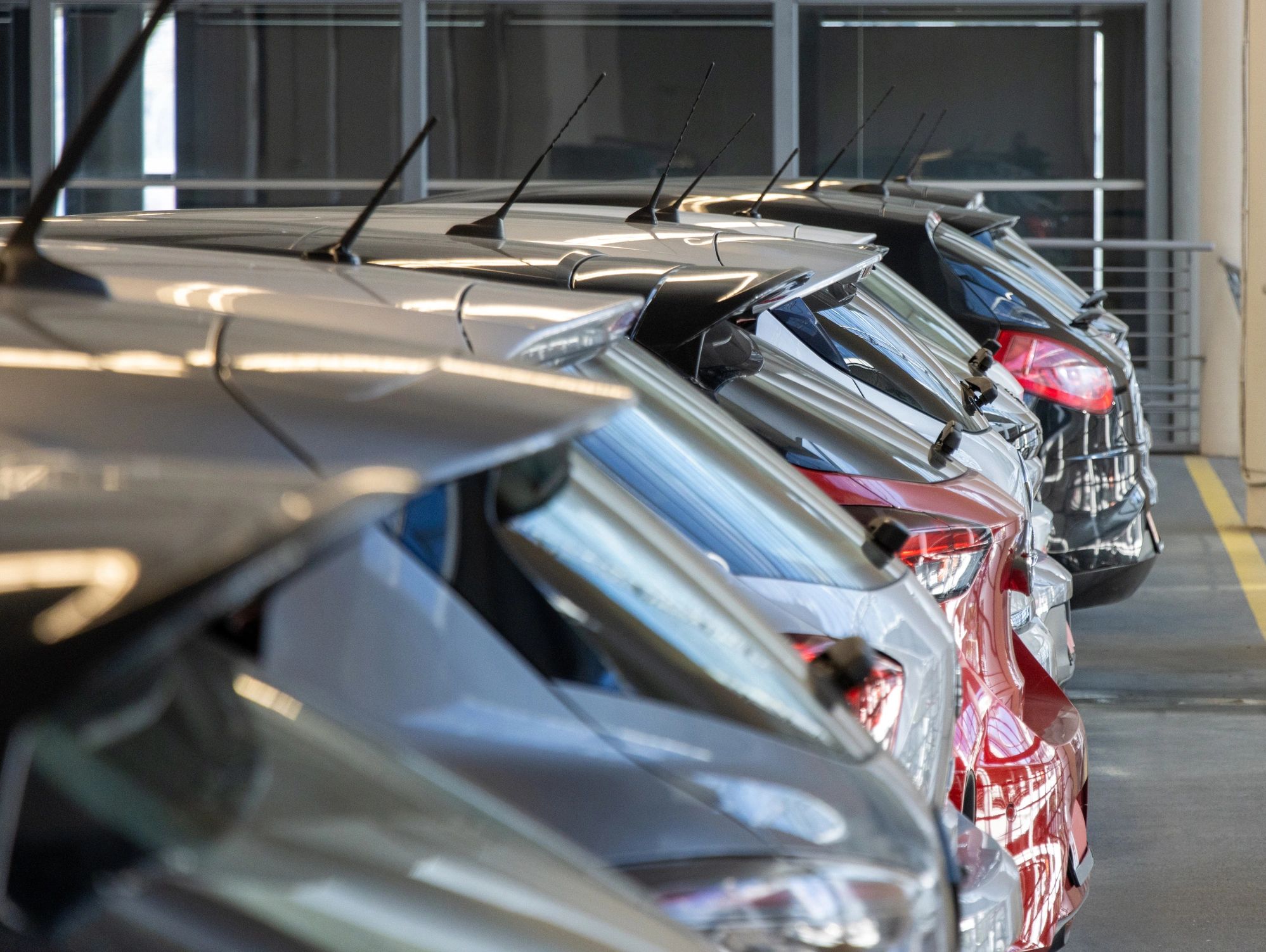 used cars dealership lot