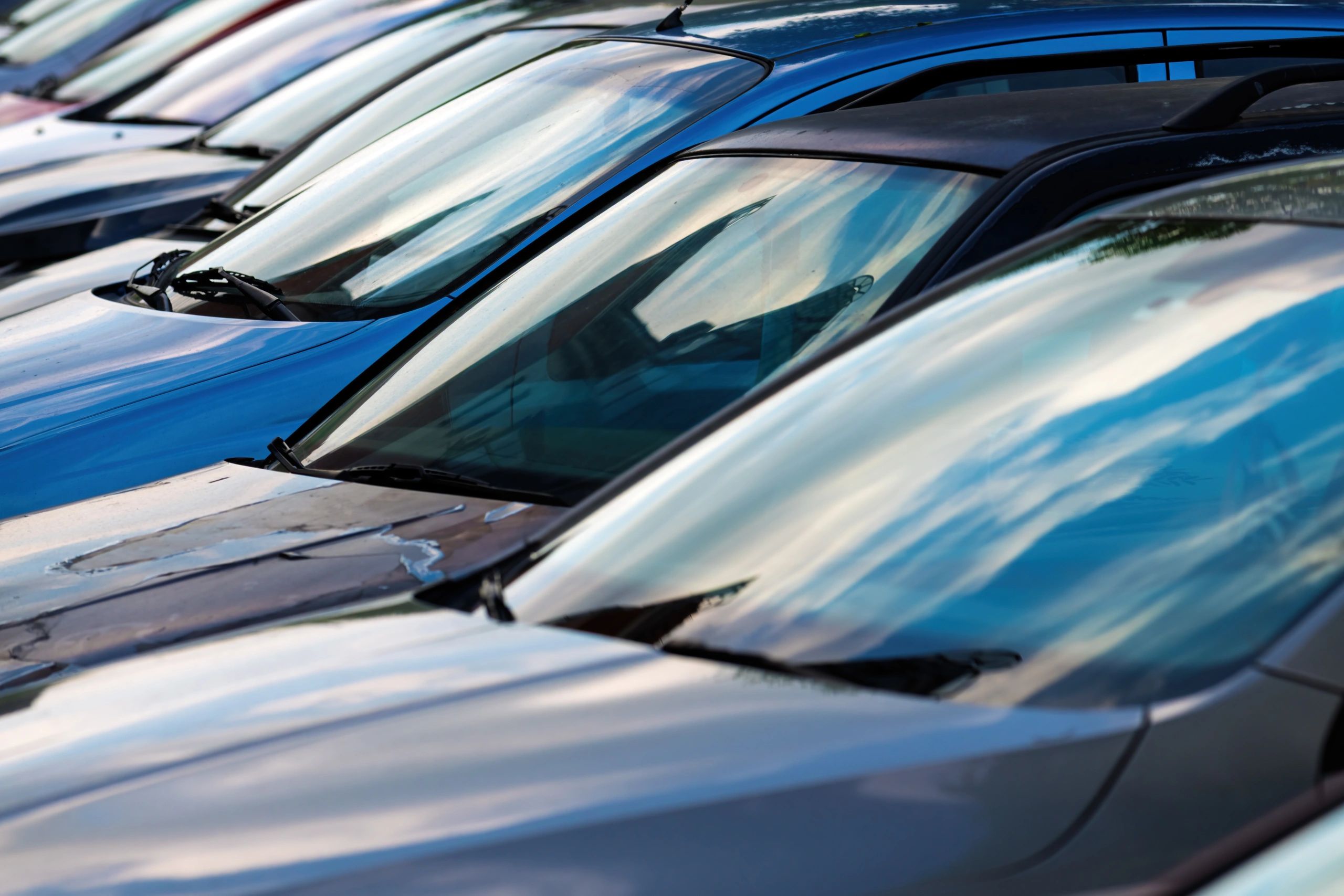 used cars lot