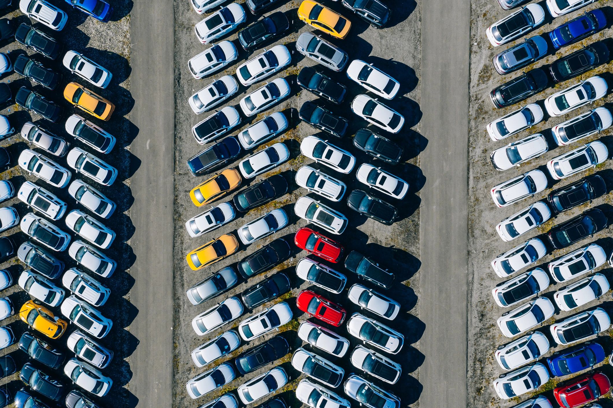 used cars lot